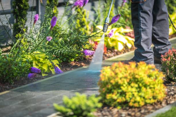 Best Post-Construction Pressure Washing  in Meadowbrook, VA