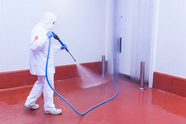 Best Boat and Dock Cleaning  in Meadowbrook, VA