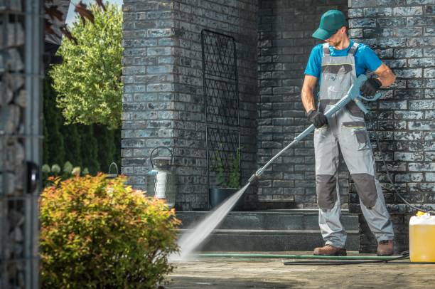 Best Graffiti Removal  in Meadowbrook, VA