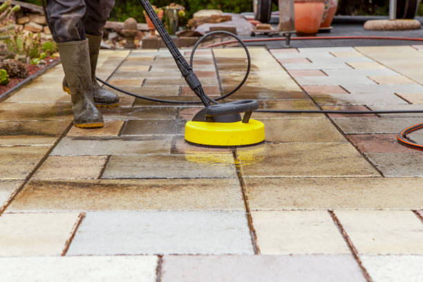 Best Boat and Dock Cleaning  in Meadowbrook, VA