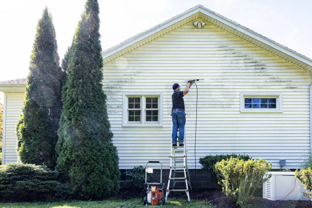 Boat and Dock Cleaning in Meadowbrook, VA